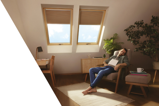 Fenêtres de toit GREENVIEW - FAKRO